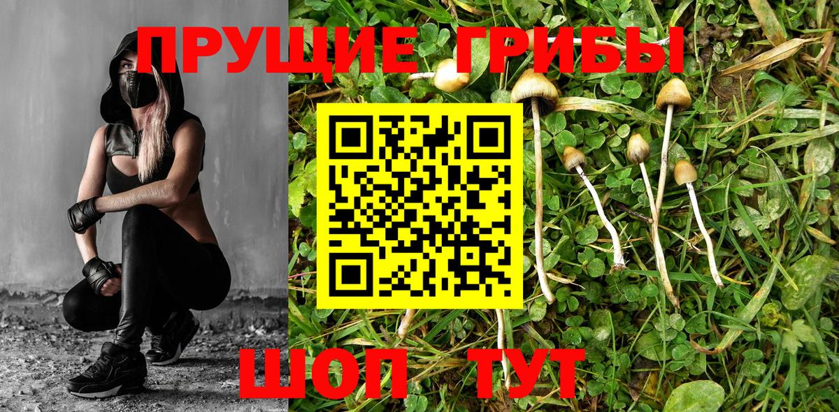 ГАШИШ Рузаевка