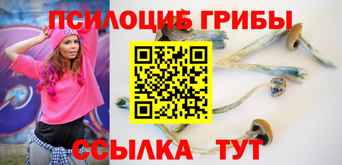 Галлюциногенные грибы GOLDEN TEACHER Рузаевка