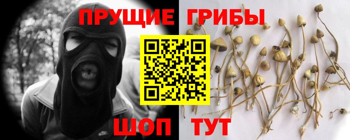 Рузаевка  Псилоцибиновые грибы Psilocybine cubensis  Вход с VPN  Галлюциногенные грибы ЛСД 